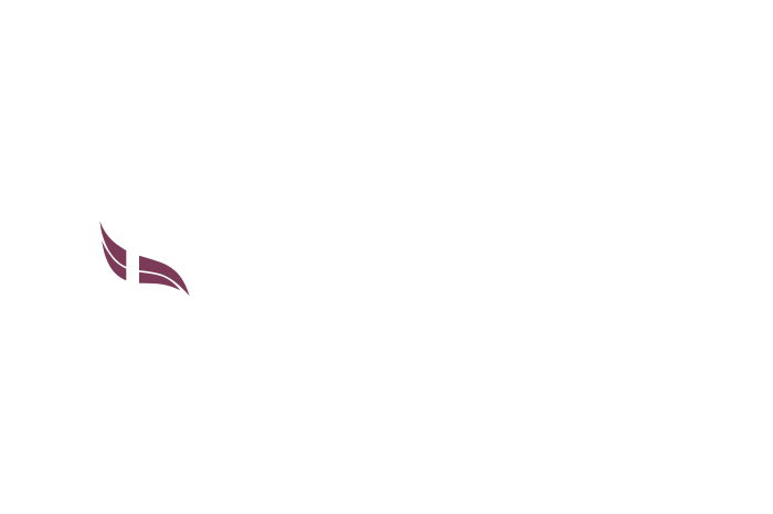 Dragonfly Logos